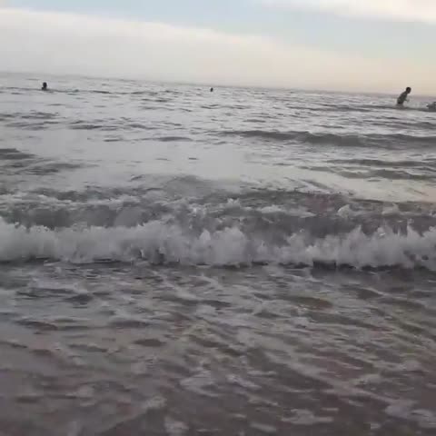 103432480_269065654408452_3646199910380843673_n