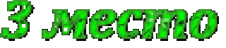 Foiz__3_место