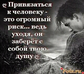 FB_IMG_15578554142024131