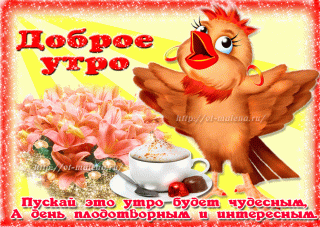 Доброе утро птица