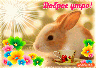 Доброе утро заяц