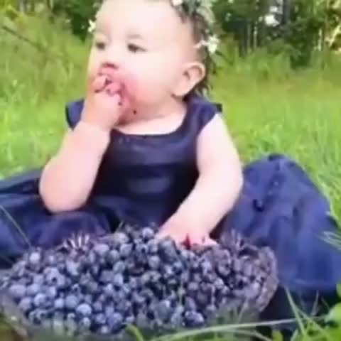 za_ksana___CBcHfOoIexh___