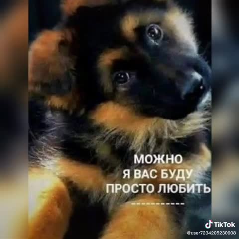 Не_грустите