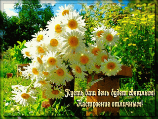 Утро светлого дня