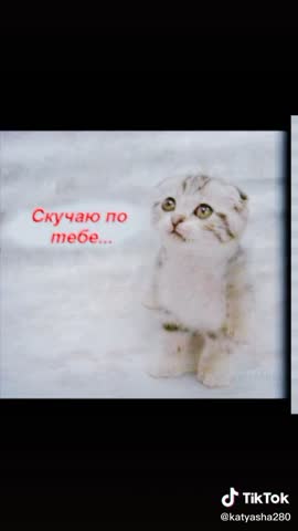 Foiz__a5d4918567b0261e44e06704a0b729fc