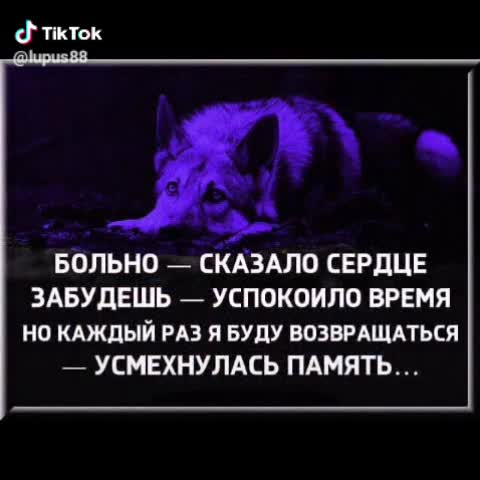 aaa2dbbb3e031ce1c4fd5d3e8b93e809