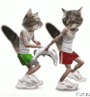 1390510040_hodyachie-koty