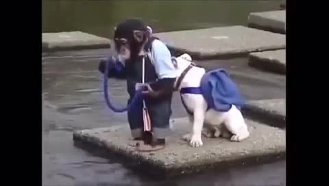 VID-20200623-WA0026