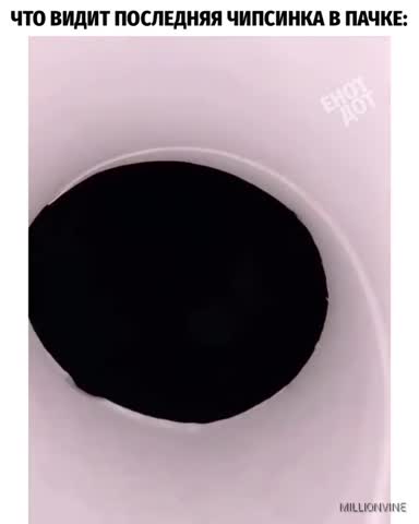 millionvine___CBvrZxNjmTZ___