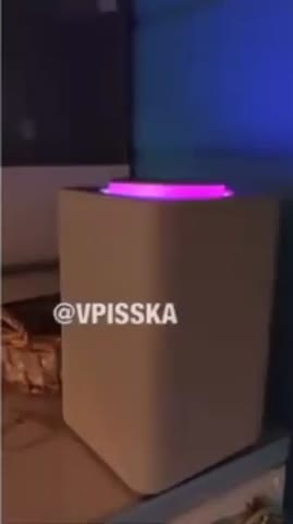 Алиса_включи_Бузову