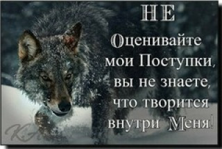 НЕ_ОЦЕНИВАЙТЕ___