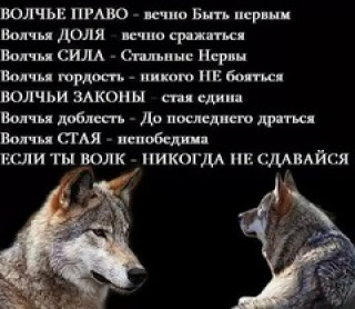 НИКОГДА_НЕ_СДАВАЙСЯ___