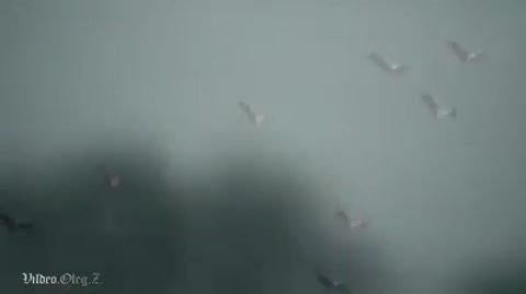 ltltlt_TY_OPJAT_OT_MENJA_DALEKA_gtgtgt-_im