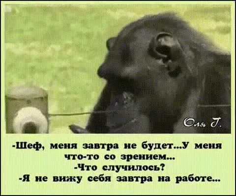 Не вижу себя на работе