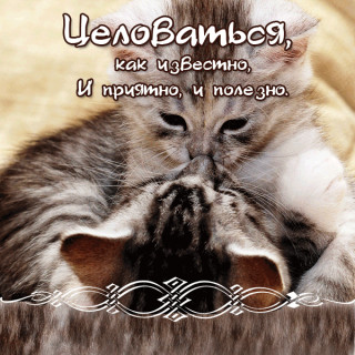 otkrytki_vozdushnyy_poceluy_24_27141732