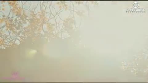 DreamLife ft GRANDE PIANO - THE LAST DREAM [ORIGINAL MIX]