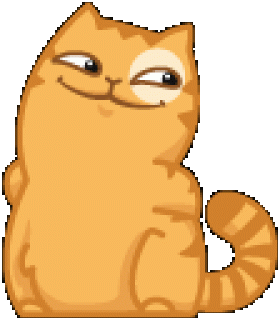 котик