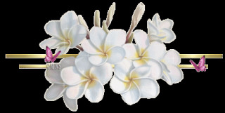 Белый цветок