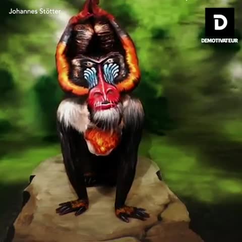 видосик прикольный