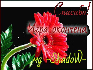 Игра окончена гербера