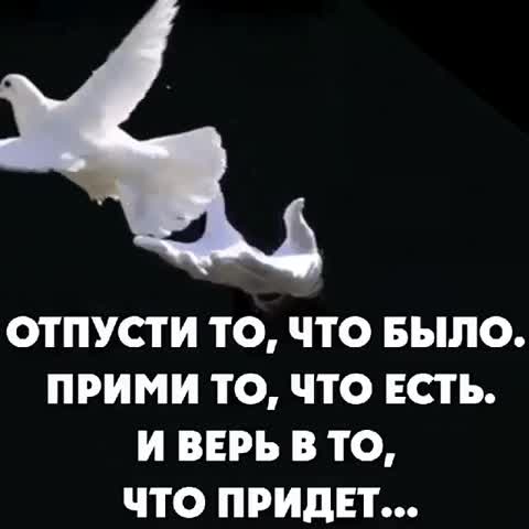 Отпусти