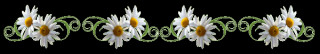 Разделитель Ромашки