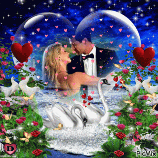 3f7b7f56062f6cef062af15dc8e818d1