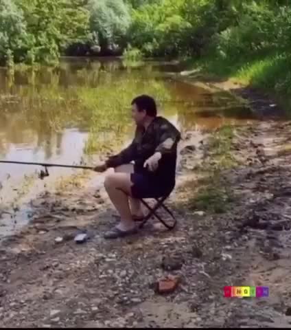 video-2701cc6b26f1173adce1dd2e8891c550-V