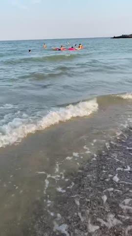 VID_20200704_171011_668