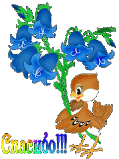 f5f8a53f575296e76e1ddc0f5fbcfd5b