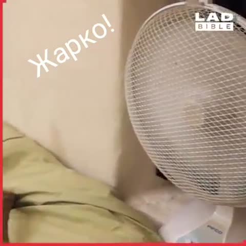 Жарко