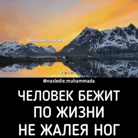 whatsaper_-Про-работу-и-жизнь-человека_