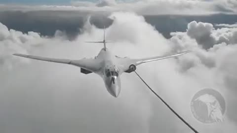 Белый_Лебедь