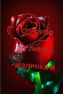 Foiz__1593965613092