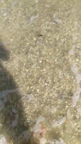 video-c81df1ec8a5100209722139515d14b4e-V