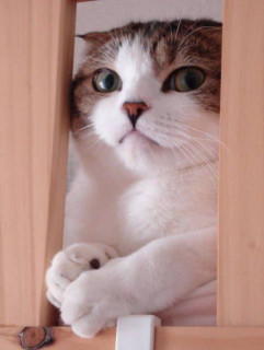 019bc7b7cec11fbfe5bb96b889039de1