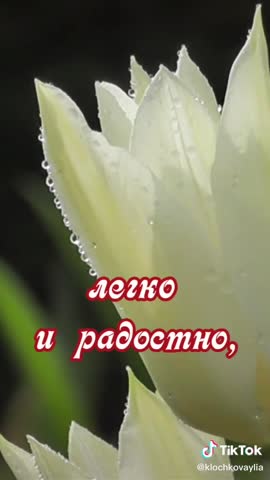 20200708_Самого_доброго_утра