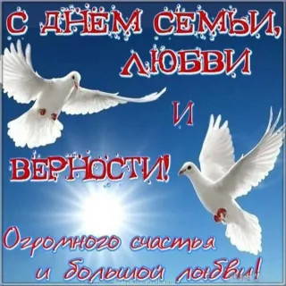 С5