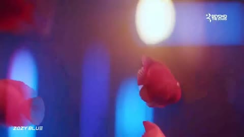 SounEmot - CUANDO TU NO ESTAS [DreamLife Extended REMIX]