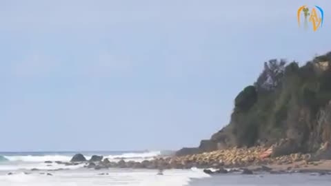 Foiz__пепел_любви