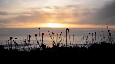 LUKE BOND vs CARTEL - ONCE MORE [DAN STONE REMIX]