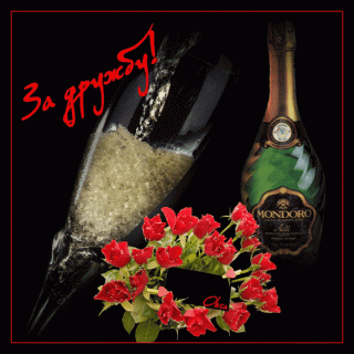 113172285_5256907__1_