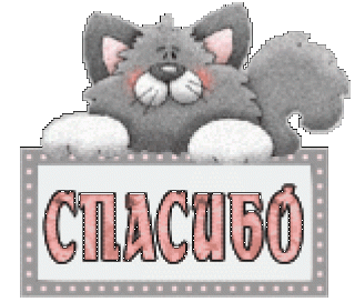 спасибо_кот