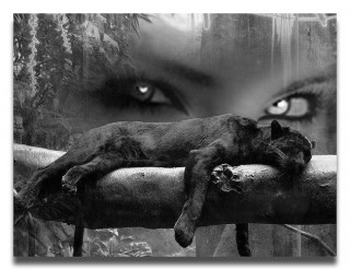 эти глаза напротив