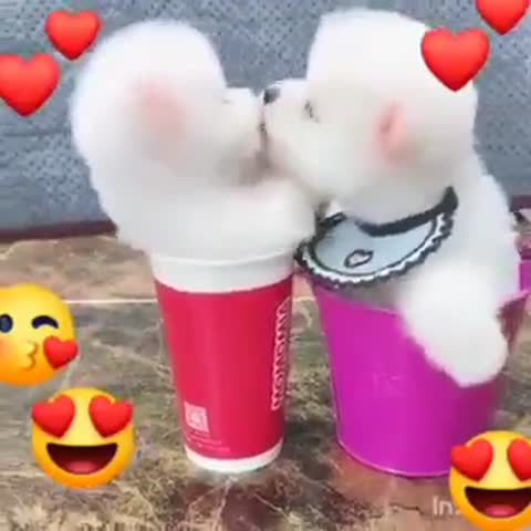 поцелуйчики1