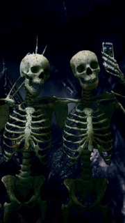 скелетоны