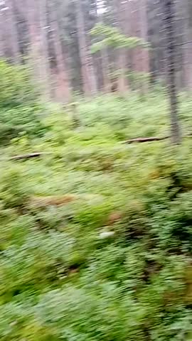 VID_20200714_103604