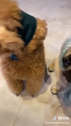 у_Курского_вокзала