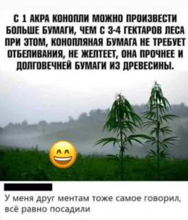 FB_IMG_1594765729838