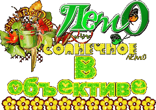 Лето_в_объективе